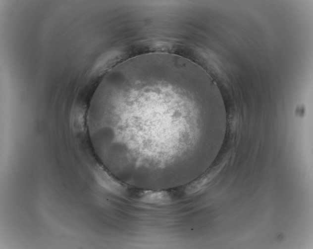 X0000092020185200709061601
