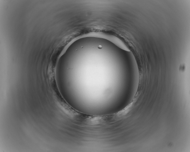 X0000092020186200709061601