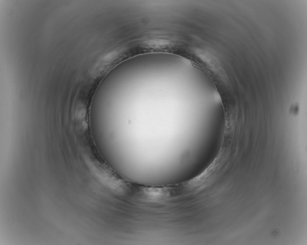 X0000092020187200709061601