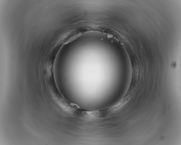 X0000092020188200709061601