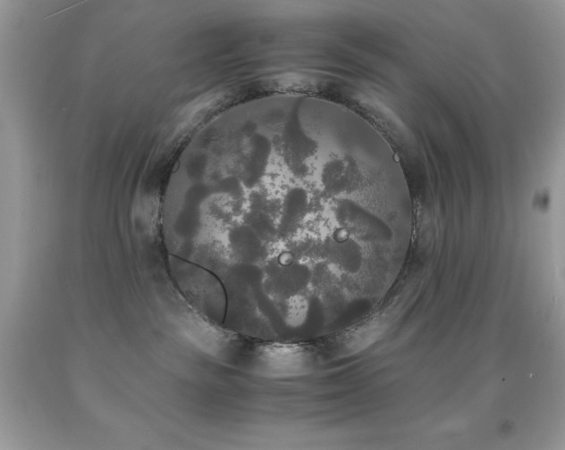 X0000092020189200709061601