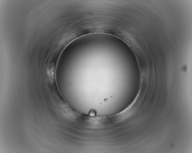 X0000092020190200709061601