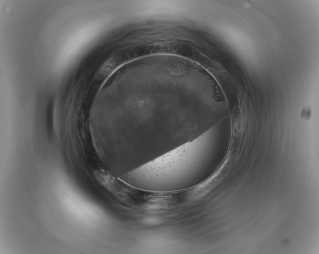 X0000092020191200709061601