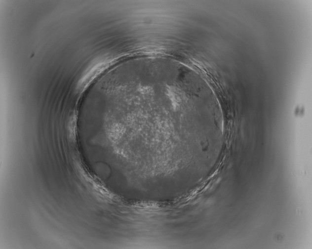 X0000092020194200709061600