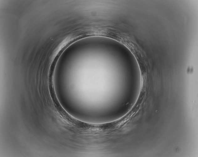 X0000092020195200709061600