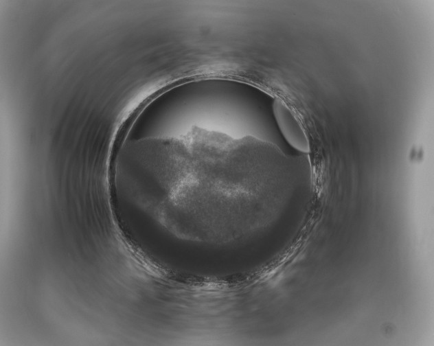 X0000092020196200709061600