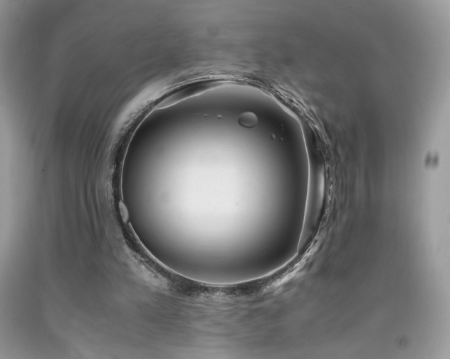 X0000092020197200709061600