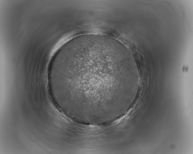 X0000092020198200709061600