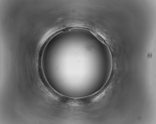 X0000092020199200709061600