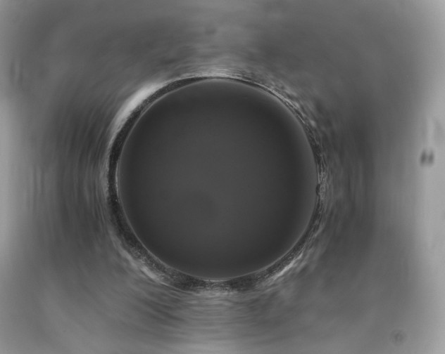 X0000092020200200709061600