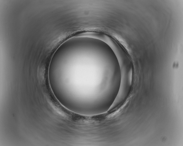 X0000092020201200709061600