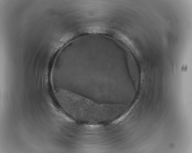 X0000092020202200709061600