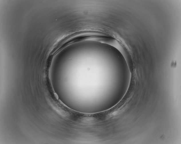 X0000092020203200709061600