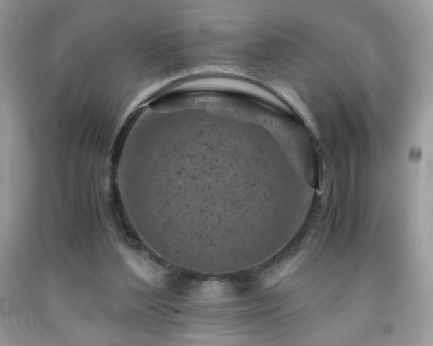 X0000092020204200709061600