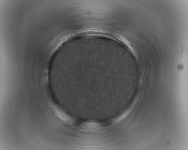 X0000092020205200709061600