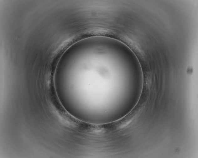 X0000092020206200709061600