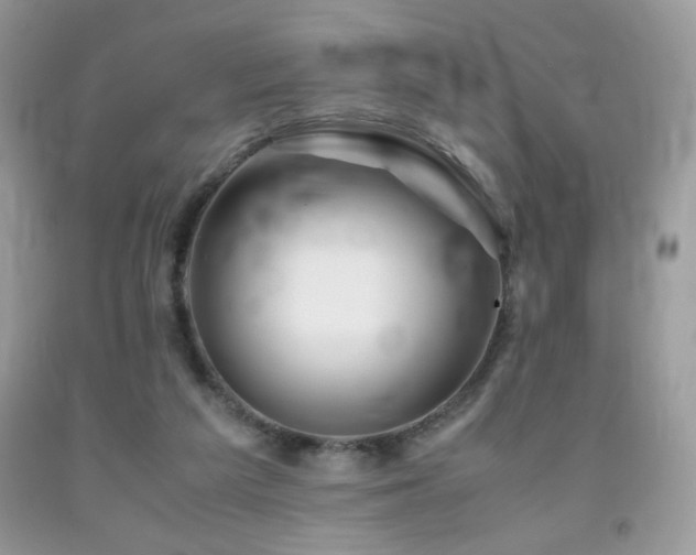 X0000092020209200709061600