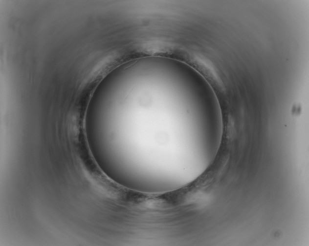 X0000092020210200709061600
