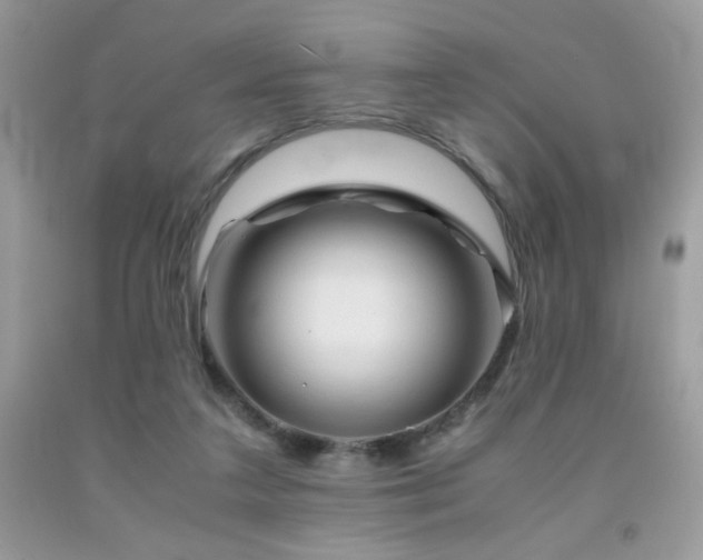 X0000092020211200709061600