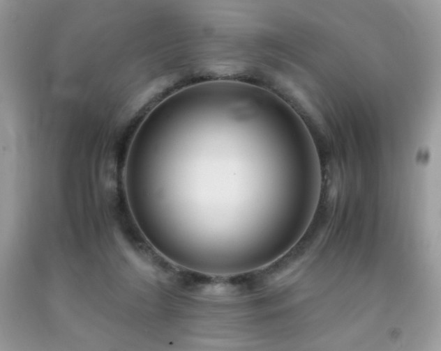 X0000092020212200709061600
