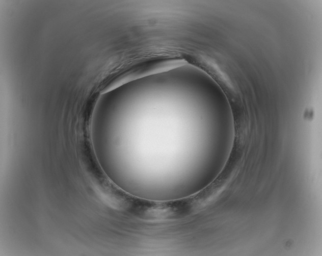 X0000092020213200709061600