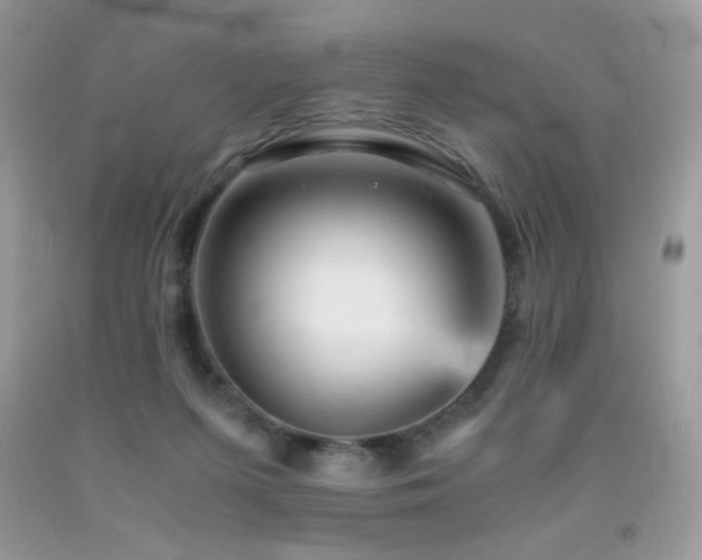 X0000092020215200709061600
