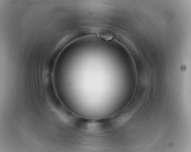X0000092020216200709061600