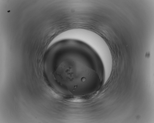 X0000092020219200709061600