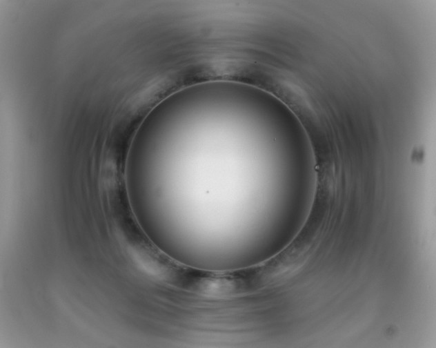 X0000092020220200709061600