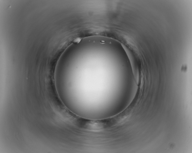 X0000092020221200709061600