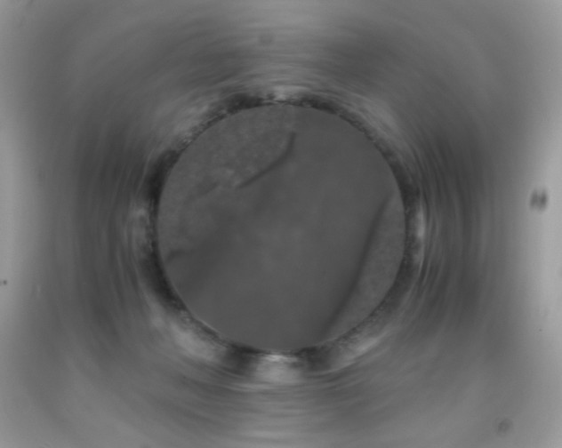 X0000092020222200709061600
