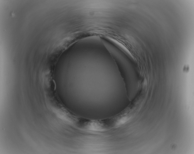X0000092020223200709061600