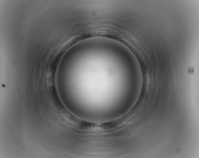 X0000092020224200709061600