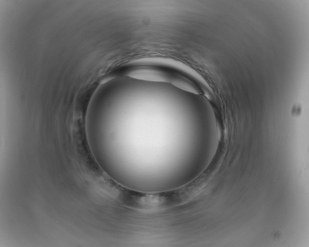 X0000092020225200709061600