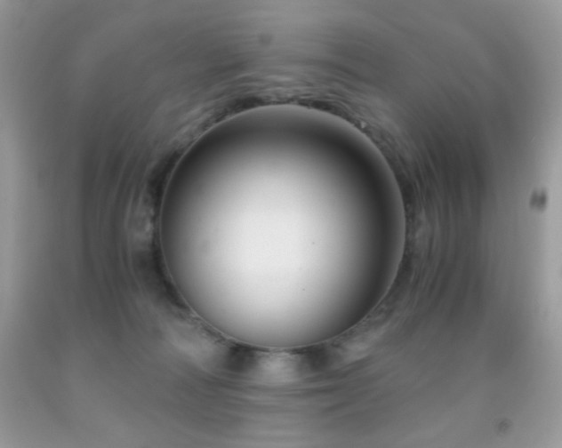 X0000092020226200709061600