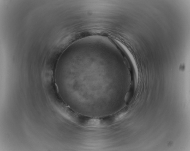 X0000092020227200709061600
