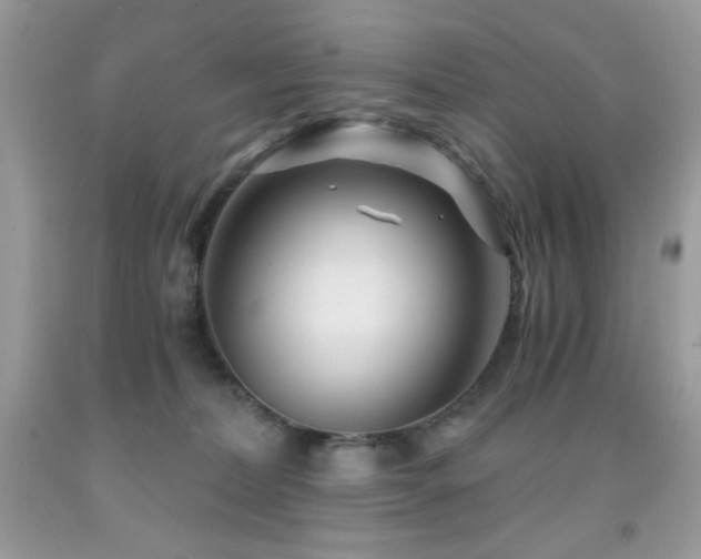 X0000092020228200709061600