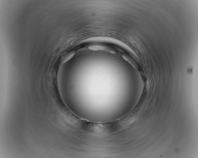 X0000092020229200709061600