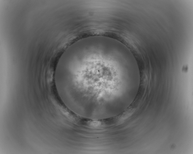 X0000092020230200709061600