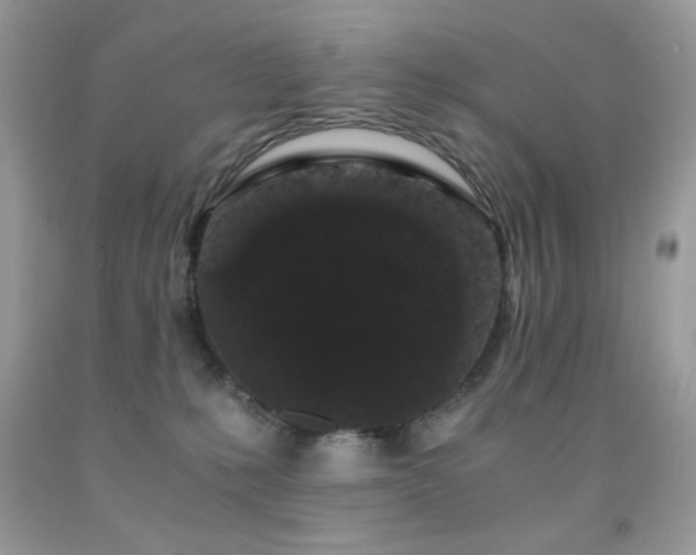 X0000092020231200709061600