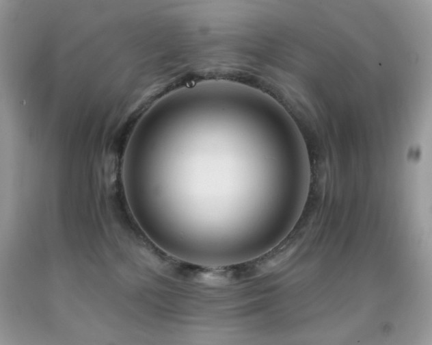 X0000092020232200709061600