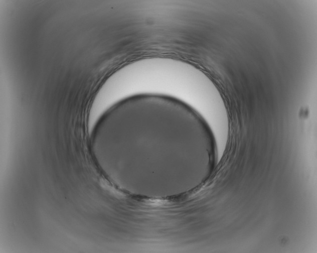 X0000092020233200709061600