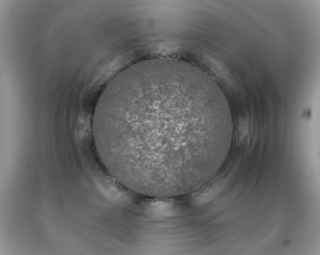 X0000092020236200709061600