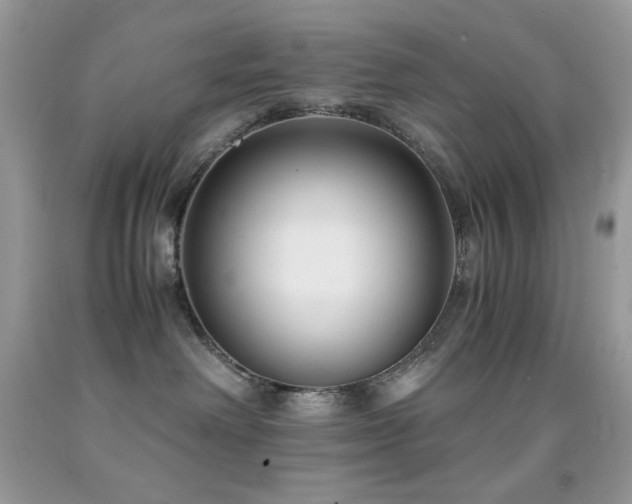 X0000092020238200709061600