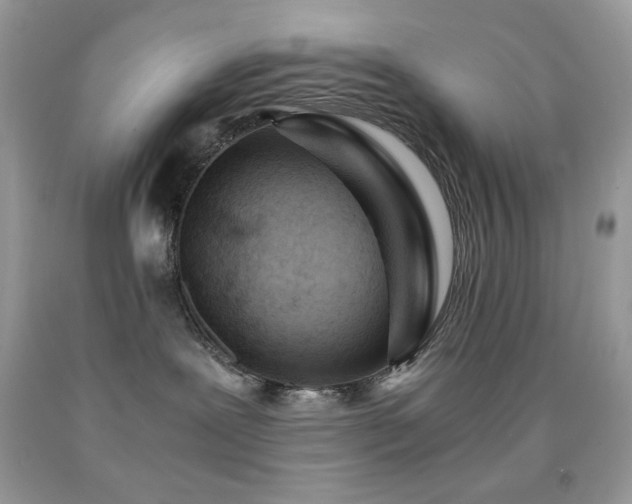 X0000092020239200709061600