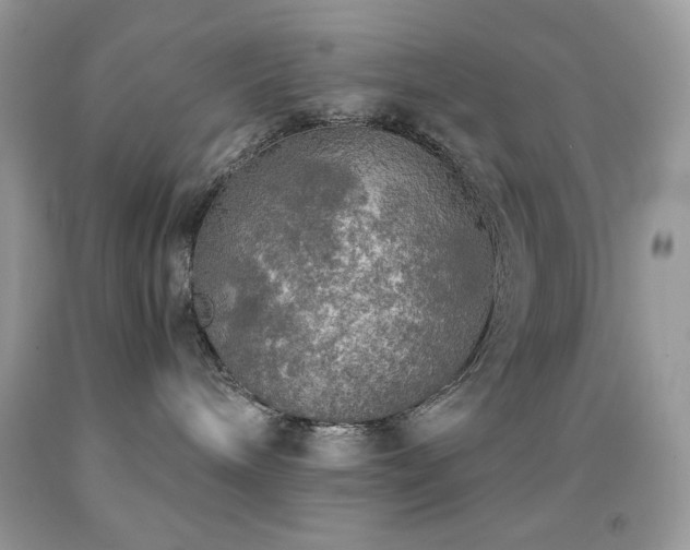 X0000092020240200709061600