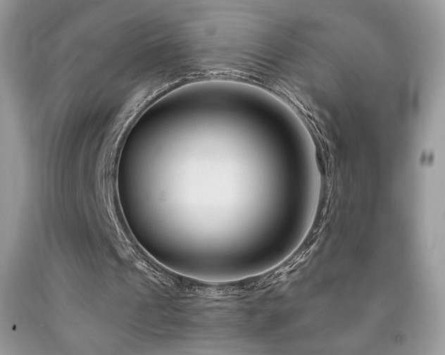 X0000092020241200709061559