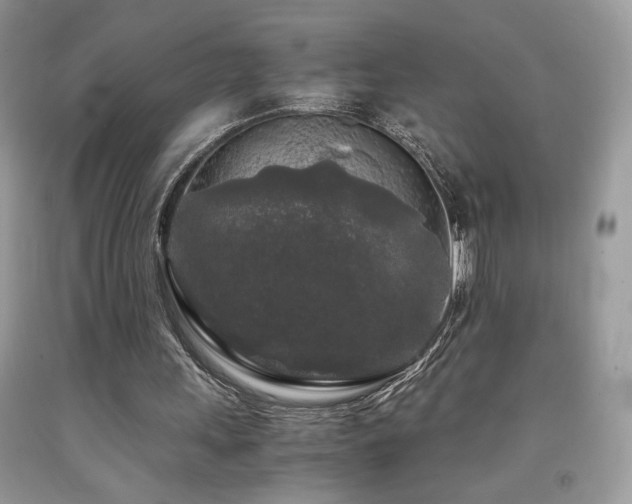 X0000092020243200709061559