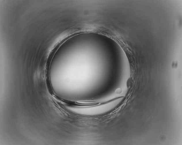 X0000092020244200709061559
