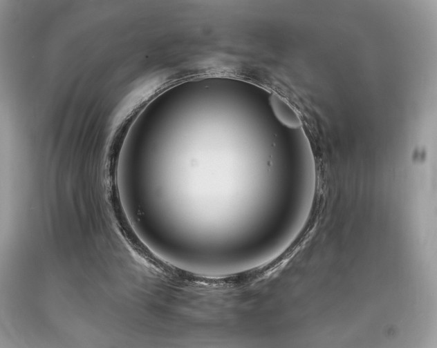 X0000092020245200709061559
